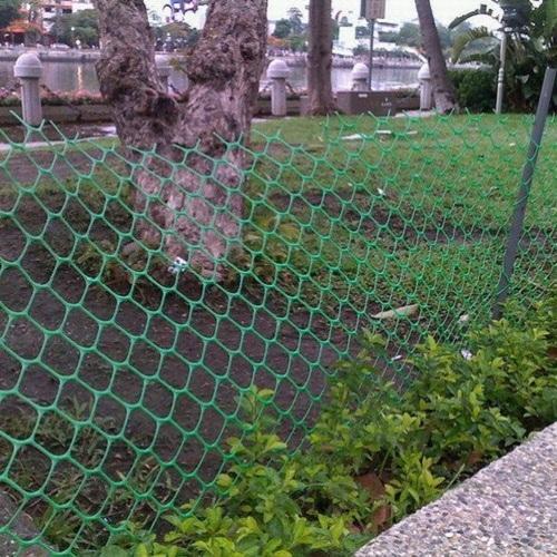 HDPE Forest Fencing Plastic Net, Color : Green, Black