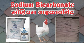 Tata sodium bi carbonate