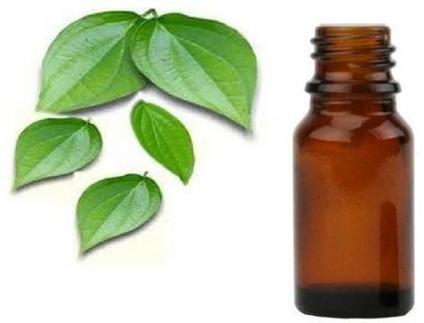 Betel Leaf Essential Oil