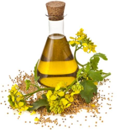 Mustard Essential Oil