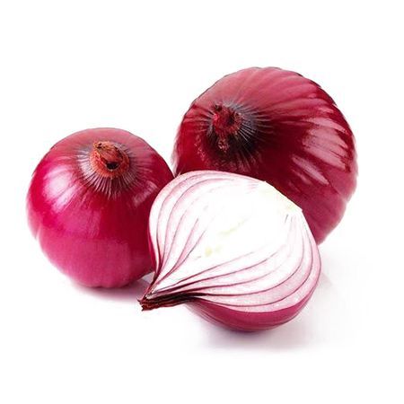 Fresh High Quality Onion
