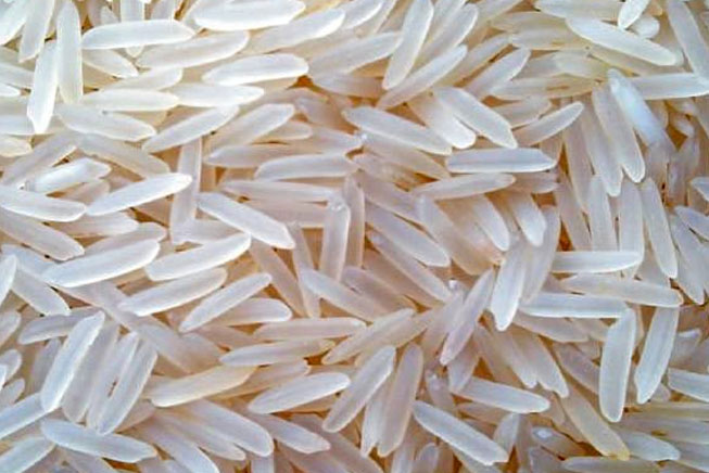 Organic Sona Masoori Basmati Rice, Packaging Size : 10Kg, 20Kg, 25Kg