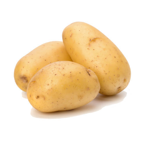 Organic Potato, for Home, Restaurant, Snacks, Feature : Eco-Friendly, Floury Texture, Good In Taste