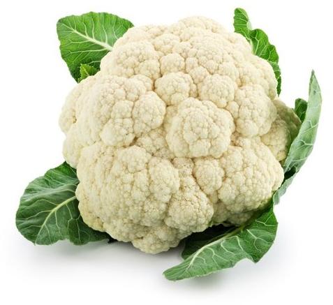 Natural Fresh Cauliflower, for Human Consumption, Cooking, Certification : FSSAI Certified