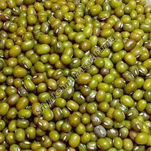 Organic Green Moong Dal, for Cooking, Specialities : Good Quality