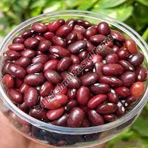 Organic Kidney Beans, for Cooking, Specialities : Good Quality, Fresh