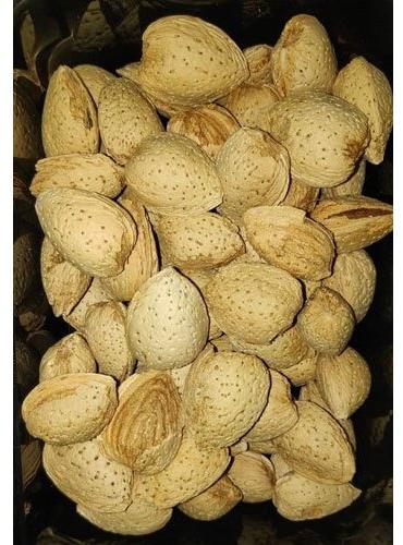 Kashmiri Almond, Packaging Size : 800 g