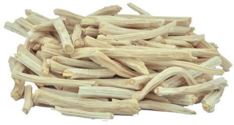 Organic Dried Shatavari Roots, Packaging Type : Jute Bags, PP Bag, Sack Bag