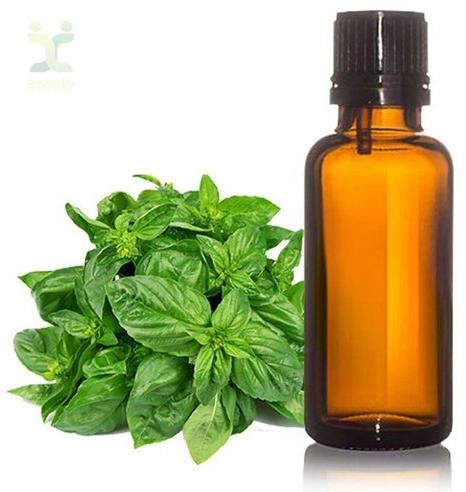 Holy Basil Oil