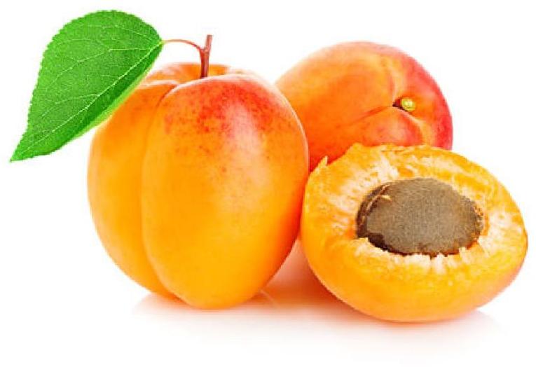 Natural Fresh Apricot, for Human Consumption, Packaging Type : Paper Box