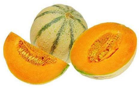 Natural Fresh Muskmelon, for Human Consumption, Packaging Type : Paper Box