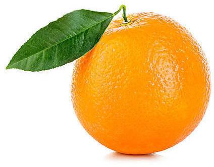 Natural Fresh Orange, for Snack, Juice, Jam, Packaging Size : 50kg, 25kg