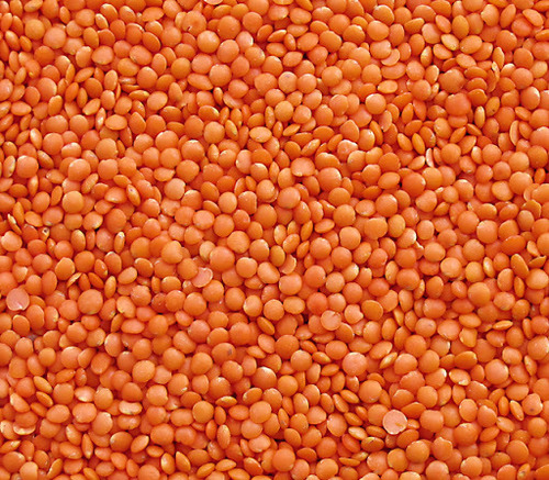 Natural Red Lentils, for Cooking, Feature : Healthy To Eat