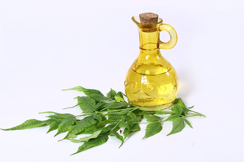 Crude Neem Oil