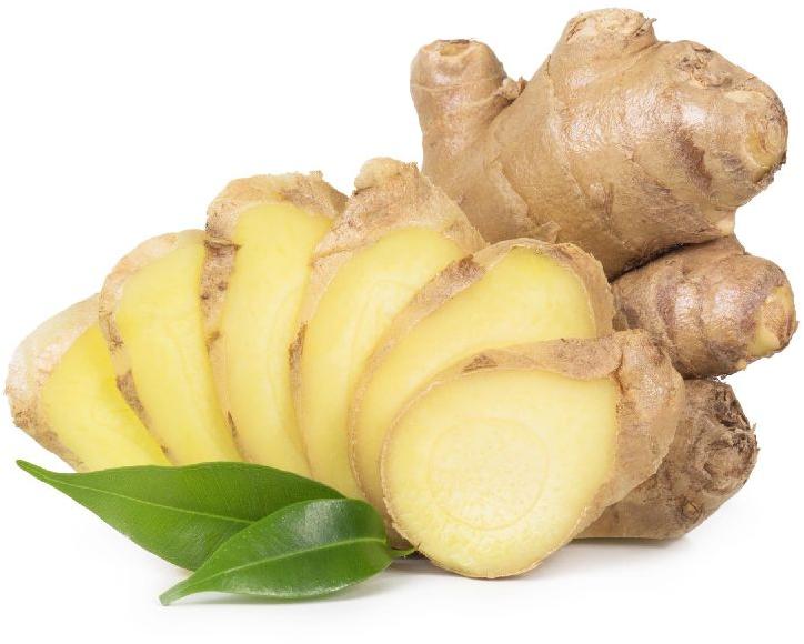 Organic fresh ginger, Feature : Hygienically Packed