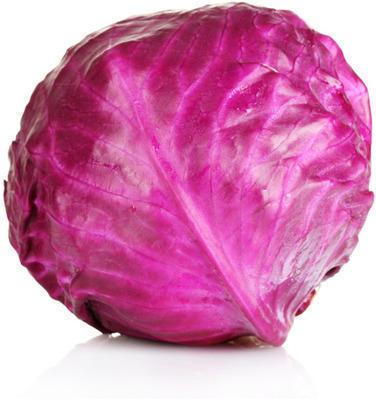 Organic Fresh Purple Cabbage, Packaging Size : 20-30kg, 30-40kg