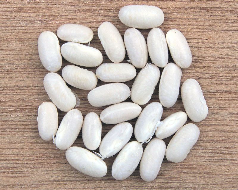 25kg Organic Navy Beans, Shelf Life : 1Years