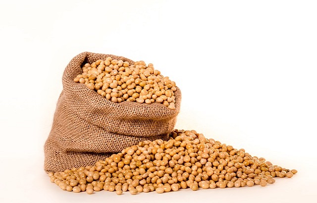 Organic soybean seeds, for Human Consumption, Feature : Low In Saturated Fat, Low Moisture