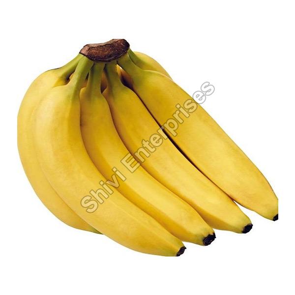 Natural Cavendish Banana, INR 250INR 300 / kilogram by Shivi