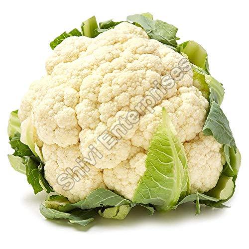Fresh Cauliflower, Speciality Good For Health, No Pesticides Shivi