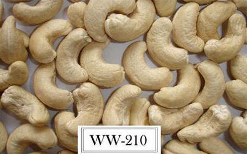 WW210 Cashew Nuts, for Ayurvedic Formulation, Packaging Type : Plastic Packat