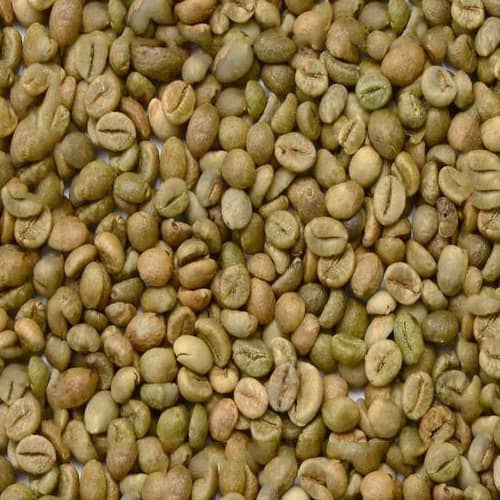 Common coffee seeds, for Agriculture, Cooking, Food, Medicinal, Style : Dried, Natural, Raw, Roasted