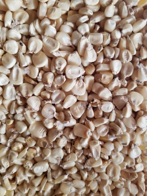 white maize