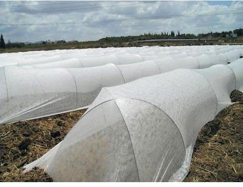 Crop Covers Fabric