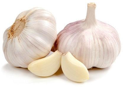 Organic fresh garlic, Color : White