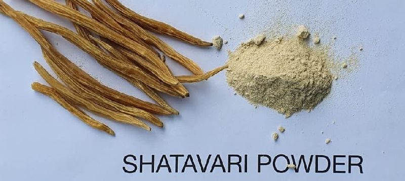Shatavri Pwoder