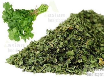 Dried Coriander Leaves, Purity : 100 Mesh to 120 Mesh