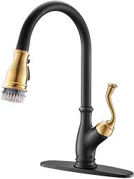 Polished Brass Kitchen Faucet