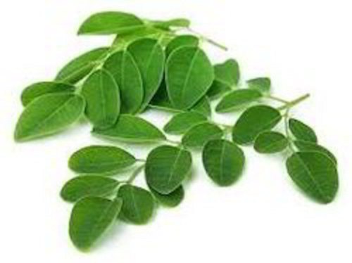 Natural Moringa Leaves, for Food, Grade : Medicine Grade