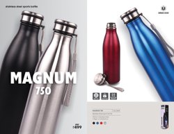 Stainless Steel Bottle, Packaging Type : Box