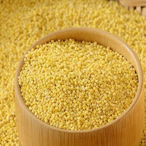 Foxtail Millet, for High in Protein