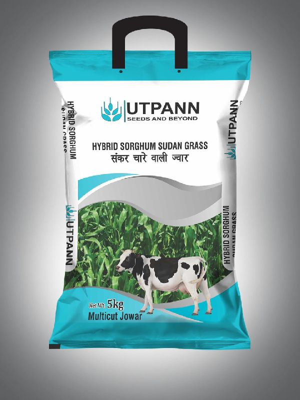 Hybrid Sudan Grass Seeds, Feature Best Quality, Full Of