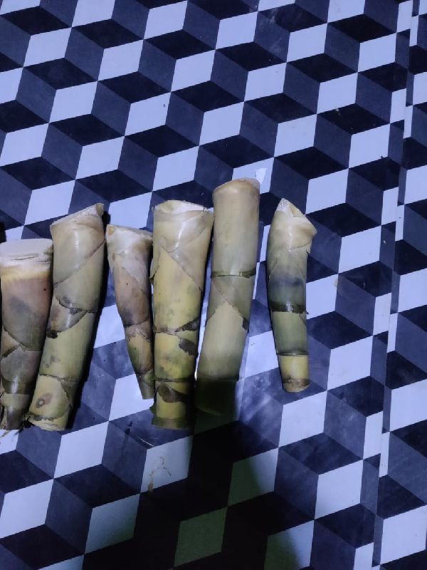 Natural bamboo shoots, Color White Assam Bio Horticulture Nursery, Guwahati, Assam