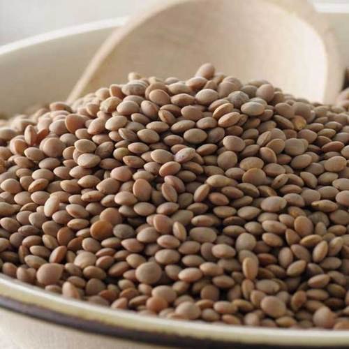 Organic Brown Masoor Dal, Feature : Healthy To Eat, Highly Hygienic, Nutritious