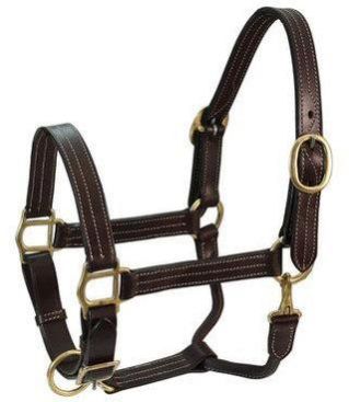 Horse Halters