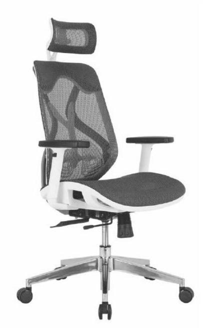 Ergon Mesh White Executive Office Chair, Style : Modern