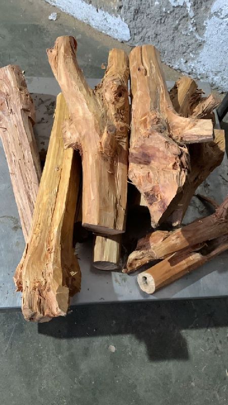White Sandalwood logs