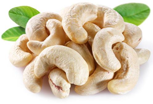 Cashew nuts, Shelf Life : 12 Months