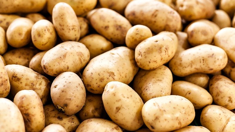 fresh potato