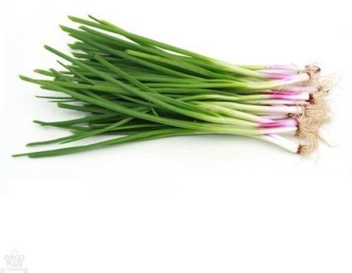 Fresh Spring Onion, Shelf Life : 15-30days