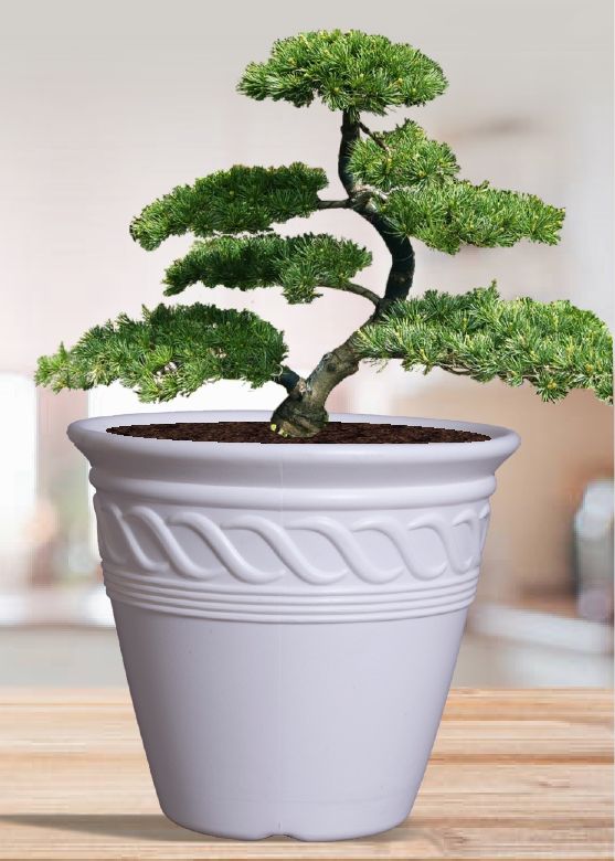 Aries Plastic Pot, for Outdoor Use Indoor Use, Feature : Dust Free, Easy To Placed, Eco Friendly
