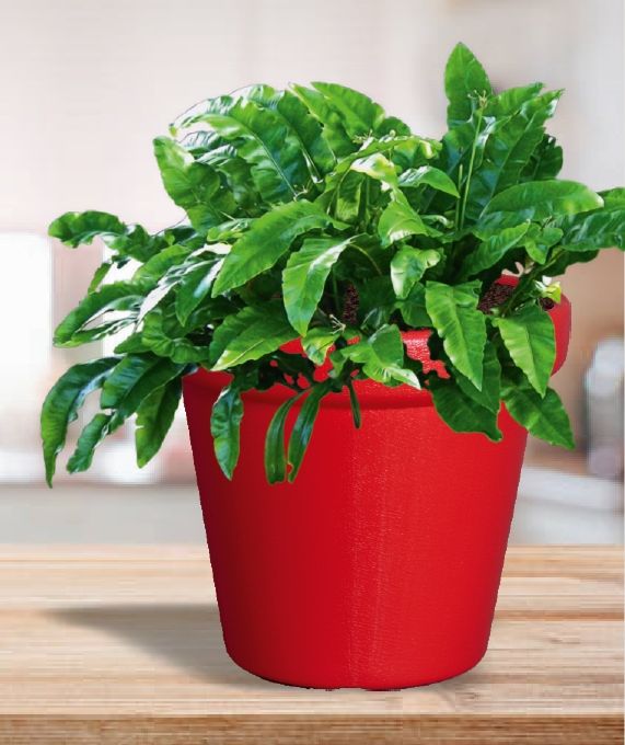 Plain Crown Plastic Planter, Feature : Eco Friendly, Hard Structure