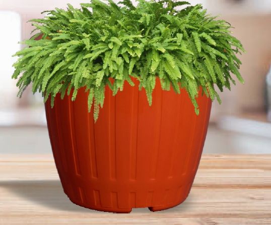 Round Dura Plastic Pot, for Planting, Feature : Easy To Placed, Long Life, Waterproof