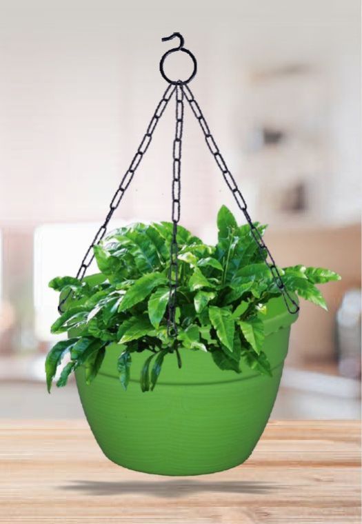 Hanging Clorsica Basket Planter