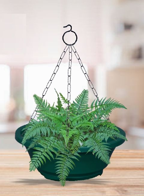 Hanging Karishma Basket Planter