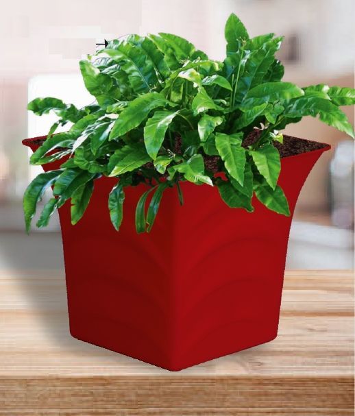 Round Moon Plastic Pot, for Outdoor Use Indoor Use, Feature : Hard Structure, Long Life